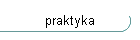 praktyka