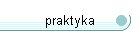 praktyka